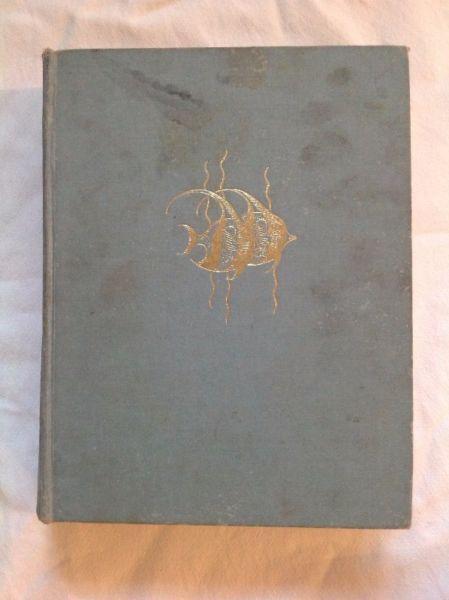 The Sea Fishes of Southern Africa - J L B SMITH