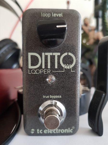 Ditto Looper - Price reduced! I'm relocating