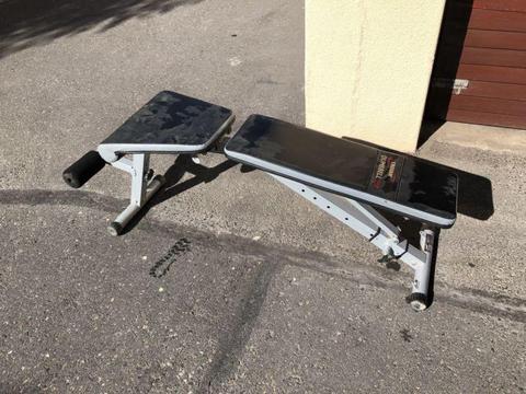 Gym bench and weights for sale