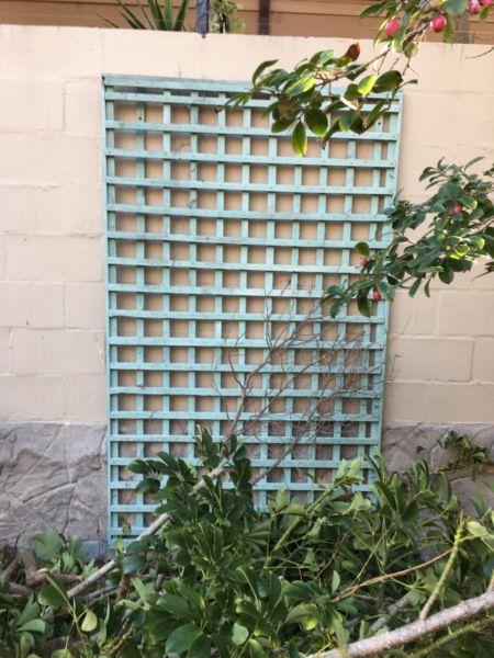 Garden wall trellis