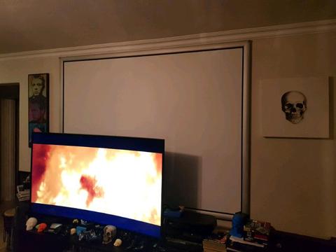 Definition Projector Screen
