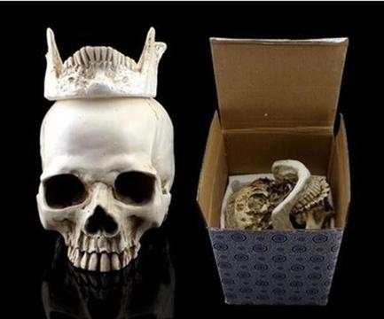 Human Skull for sale