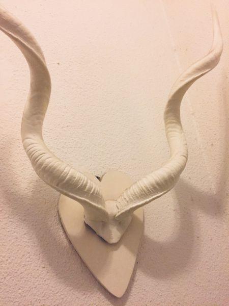 Large Kudu horns for sale