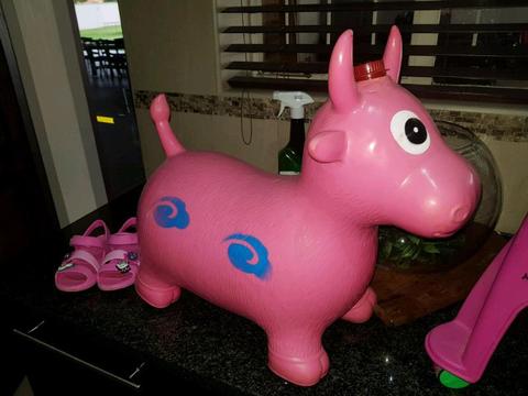 Jumping Pink Cow R50
