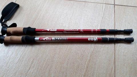 Professional Trekking Poles both for R200