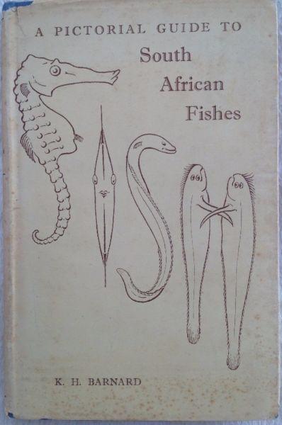 Africana - A Pictorial Guide to South African Fishes - K H Barnard - Hardcover