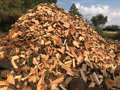 DRY FIREWOOD AVAILABLE FOR AFFORDABLE PRICE