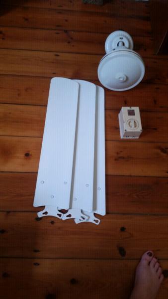 Ceiling fan with speed monitor