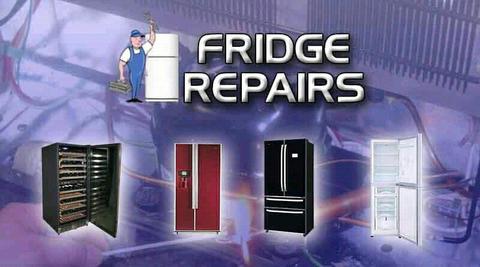 Fridges and freezers technician