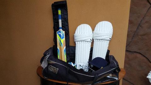 Awesome cricket set