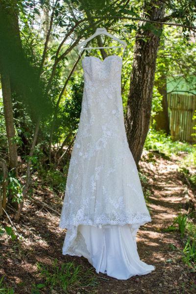 Pronovias Wedding Gown (Neg.)