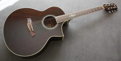 Ibanez EW20 Exotic Wood Acoustic Guitar - Absolutely Beautiful