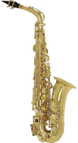 Santa Fe Alto Saxophone kit,Laquer finish. Hardcase Included