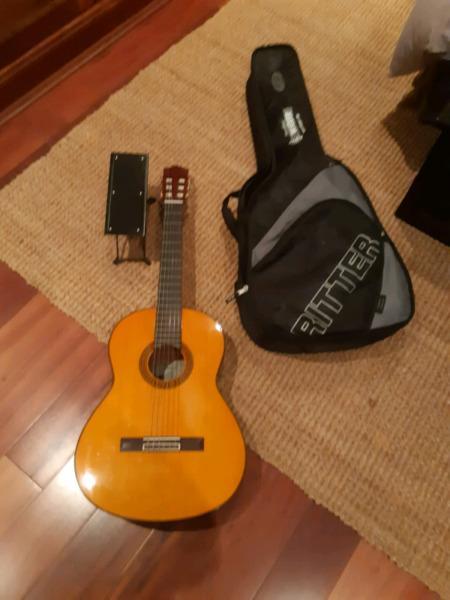 Beautiful guitar with bag and stand