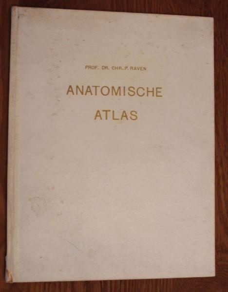 Prof. DR. CHR. P. Raven Anatomische Atlas 7th print 1959