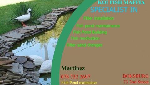 Fish pond maintainance