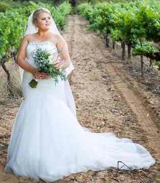 Beautifull Plus Size Fit and Flare Wedding Gowns