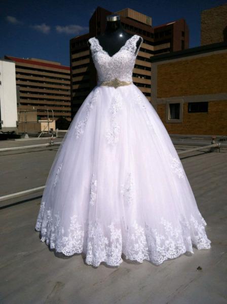 Beautiful Lace Gowns on Hire