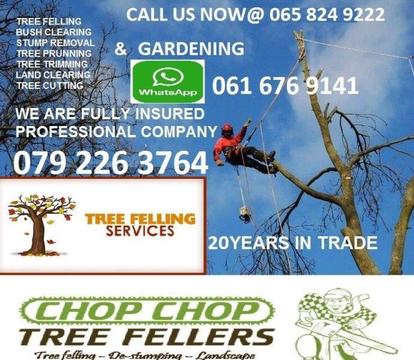Tree felling/plot clearing And Gardening Please Call Or Whatsapp Us On The Numbers On The Picture