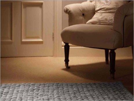 Carpet cleaning and upholstery