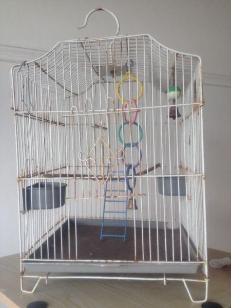 Bird Cage Small Canary, Finch & OR Budgie Cage with big Hook
