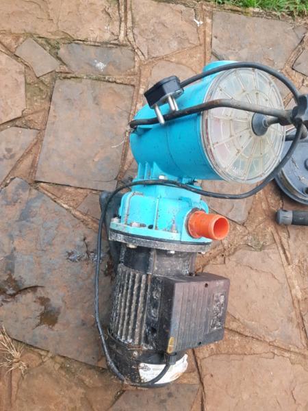 1.1kw earth eco pool pump for sale