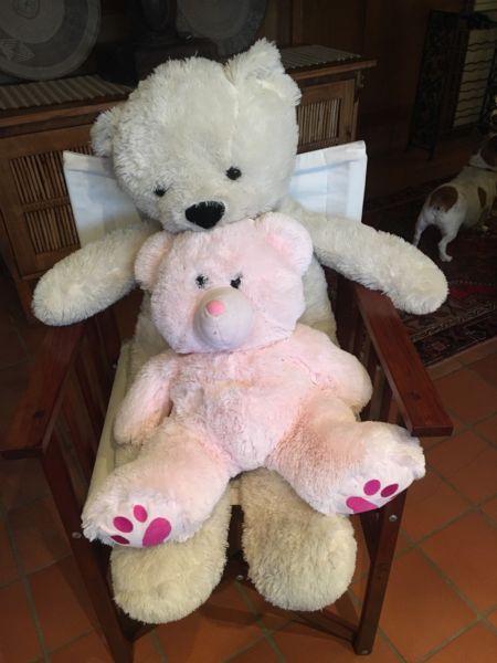 Soft fluffy Teddy Bears