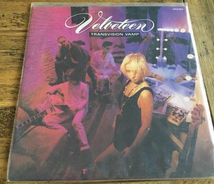 Transvision Vamp collection