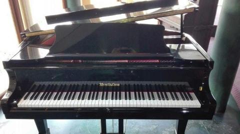 Wendl&Lung Model 178-Professional II grandpiano for sale!