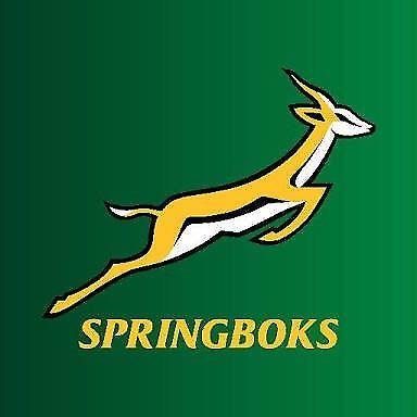 Springbok Rugby Test