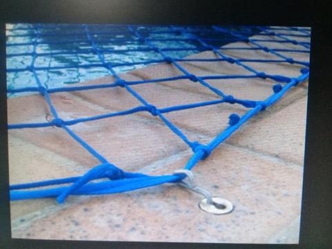 Unwanted swimpool net or cover