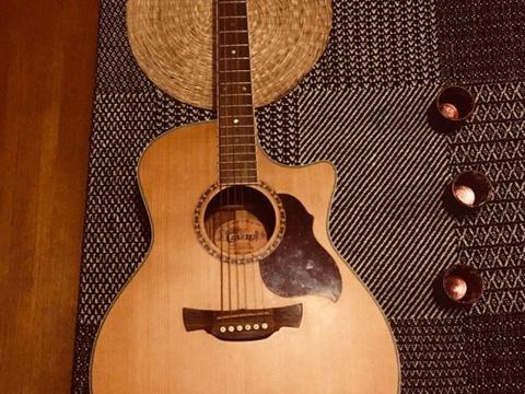 Stunning Crafter Acoustic Guitar