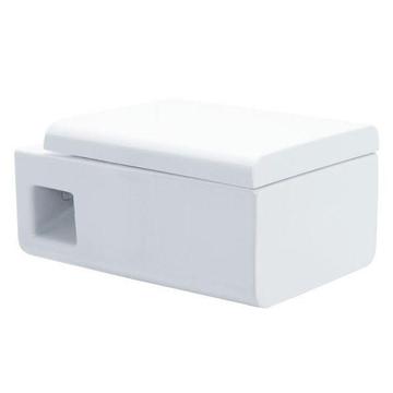 WD333P EAGO WALL HUNG TOILET