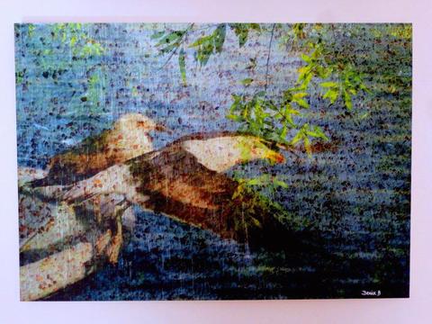 Original art--giclee photo prints on A1 stretched canvas R500. Ea