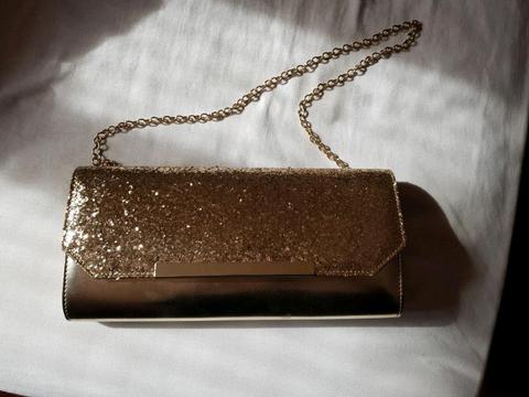 Aldo Gold Clutch Bag