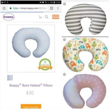 Nursing Pillow + 3 Additional covers