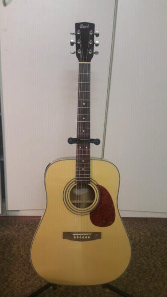 Cort acoustic Dovetail new