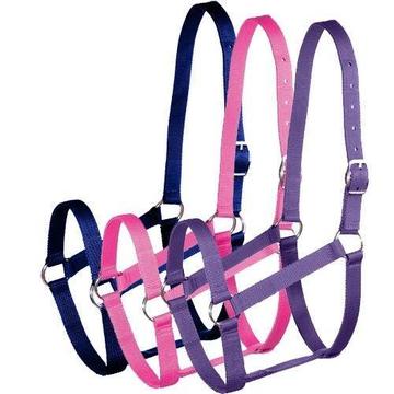 Horse Halter and Lead Set