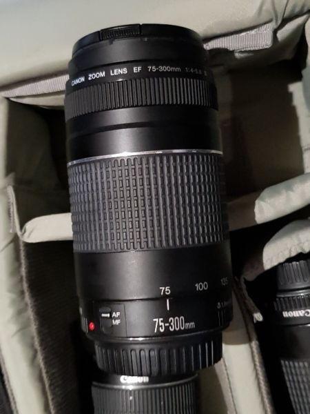 Canon EF 75-300mm f4.0-5.6 III Lens