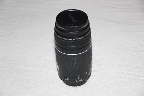 Canon EF 75 to 300mm f4.0-5.6 III Lens