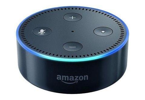Alexa Voice Activated Amazon Echo Dot Home Assistant