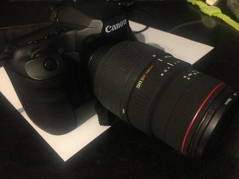 Canon EOS 40D SLR Camera Body + SIGMA APO DG 70 - 300mm 1:4-5.6 Lens + Canon 550EX Speedlite