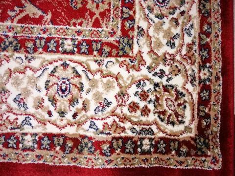 Exotic brand new carpet with persian design