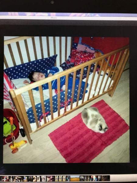 Imported wooden baby cot for sale