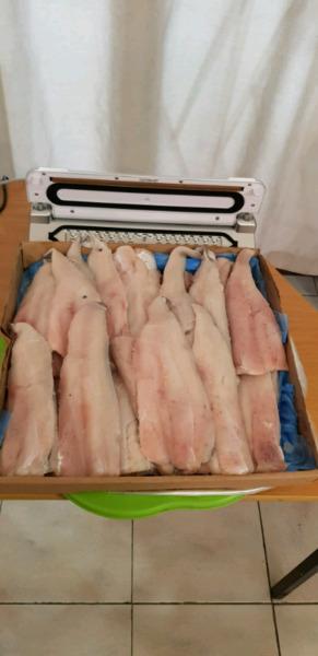 Catering hake fillets 5kg/R310.00. Call Ray. 0837285520