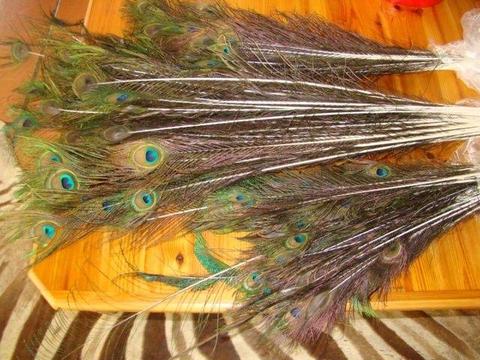 KLEURVOLLE POUVERE TE KOOP