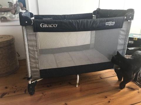 Graco camp cot for sale