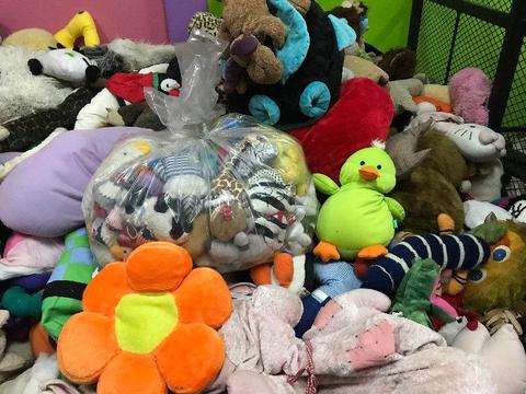 Soft toys for sale or Charity Donation-Second hand