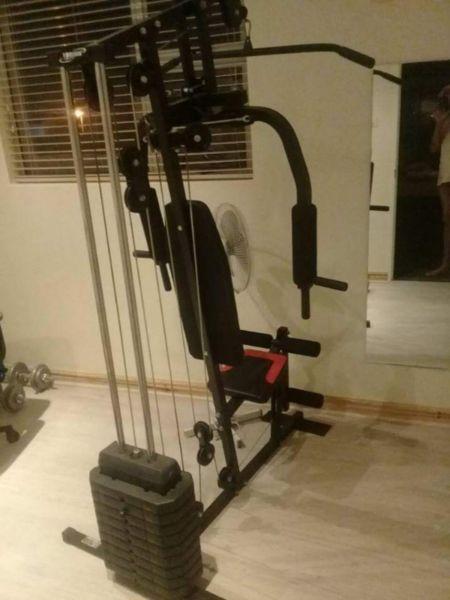 Gym machine full body workout