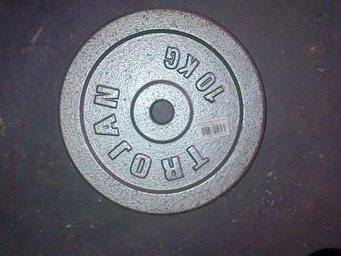 Trojan 10kg bodybuilding weight plates at R200